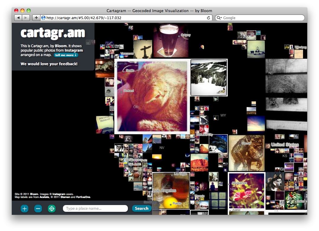 Bloom Cartagram - Image 2