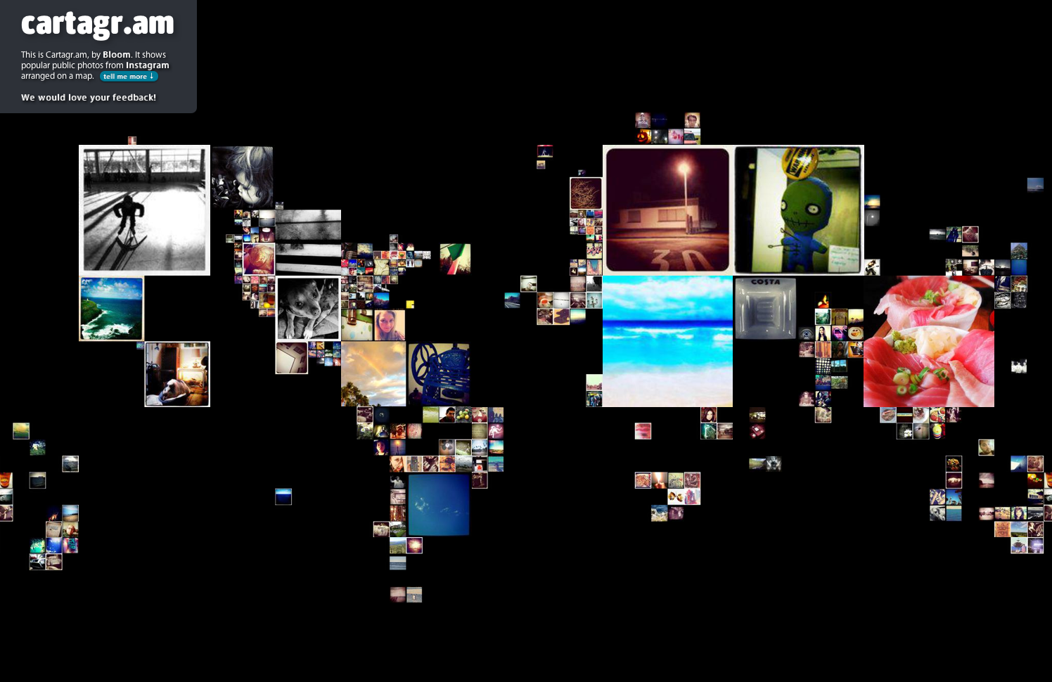 Bloom Cartagram - Image 4