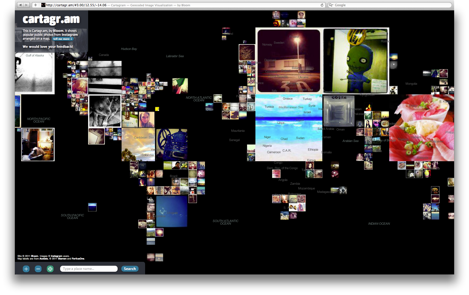 Bloom Cartagram - Image 5