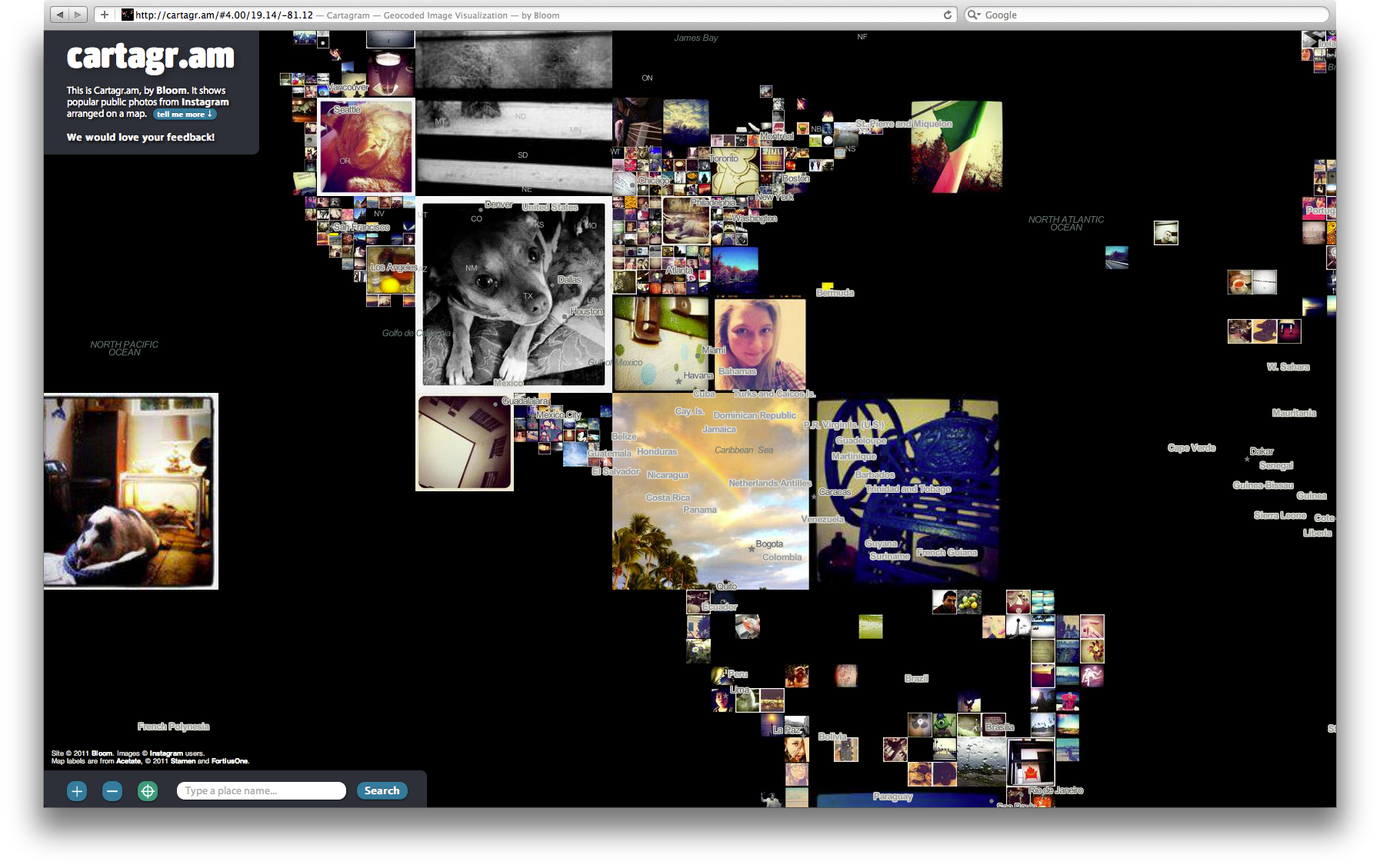 Bloom Cartagram - Image 6