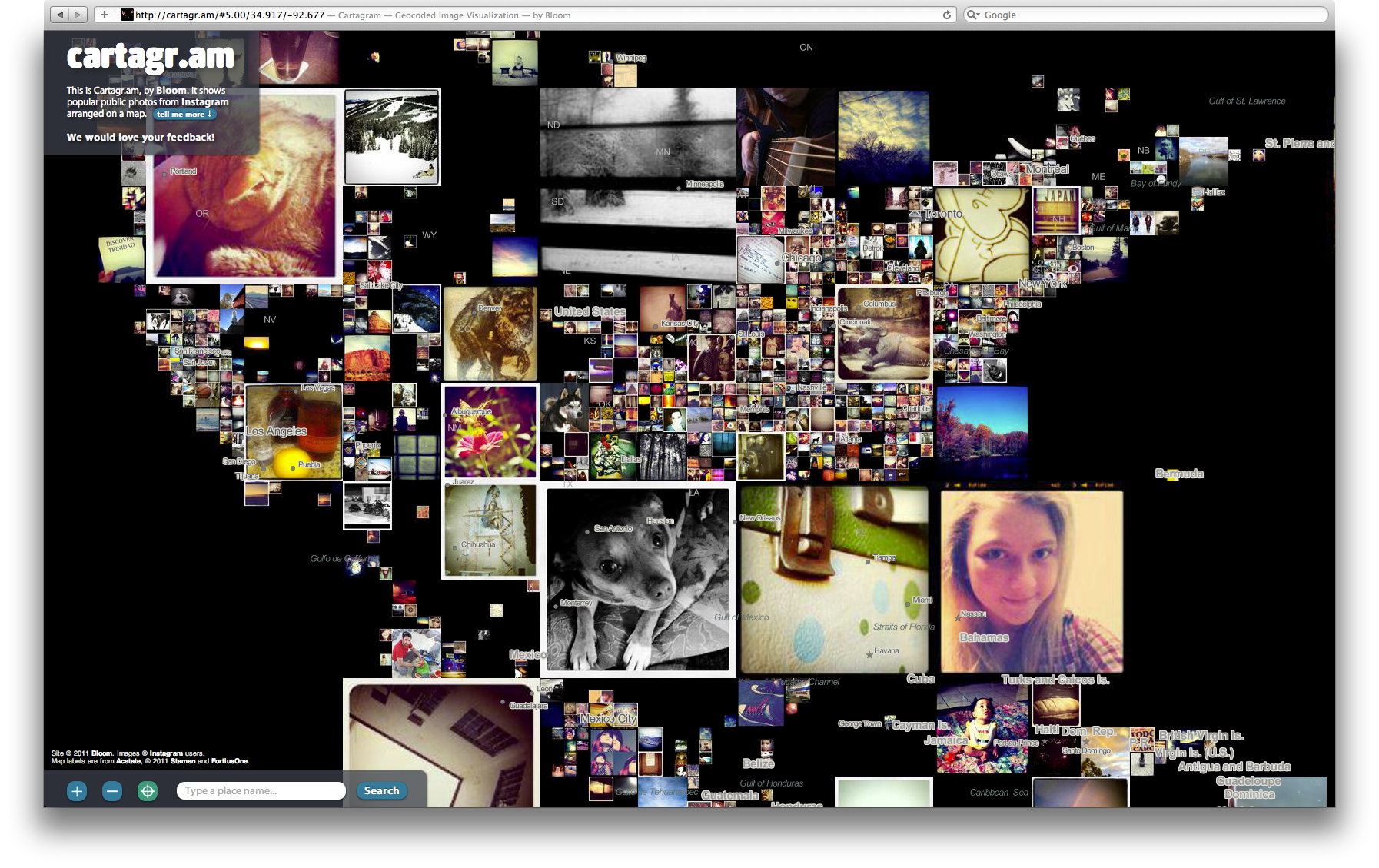 Bloom Cartagram - Image 7