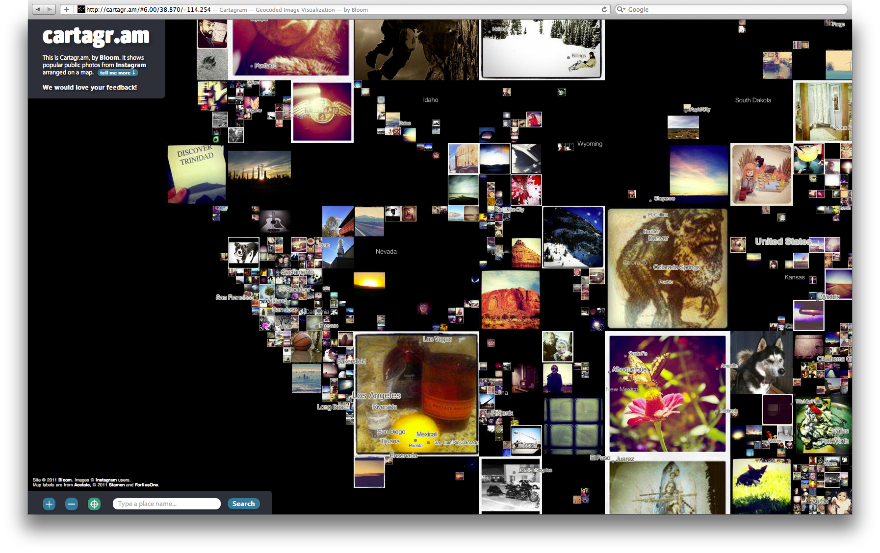 Bloom Cartagram - Image 8