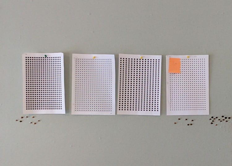 Cascade - Beyond Words Studio - Image 2