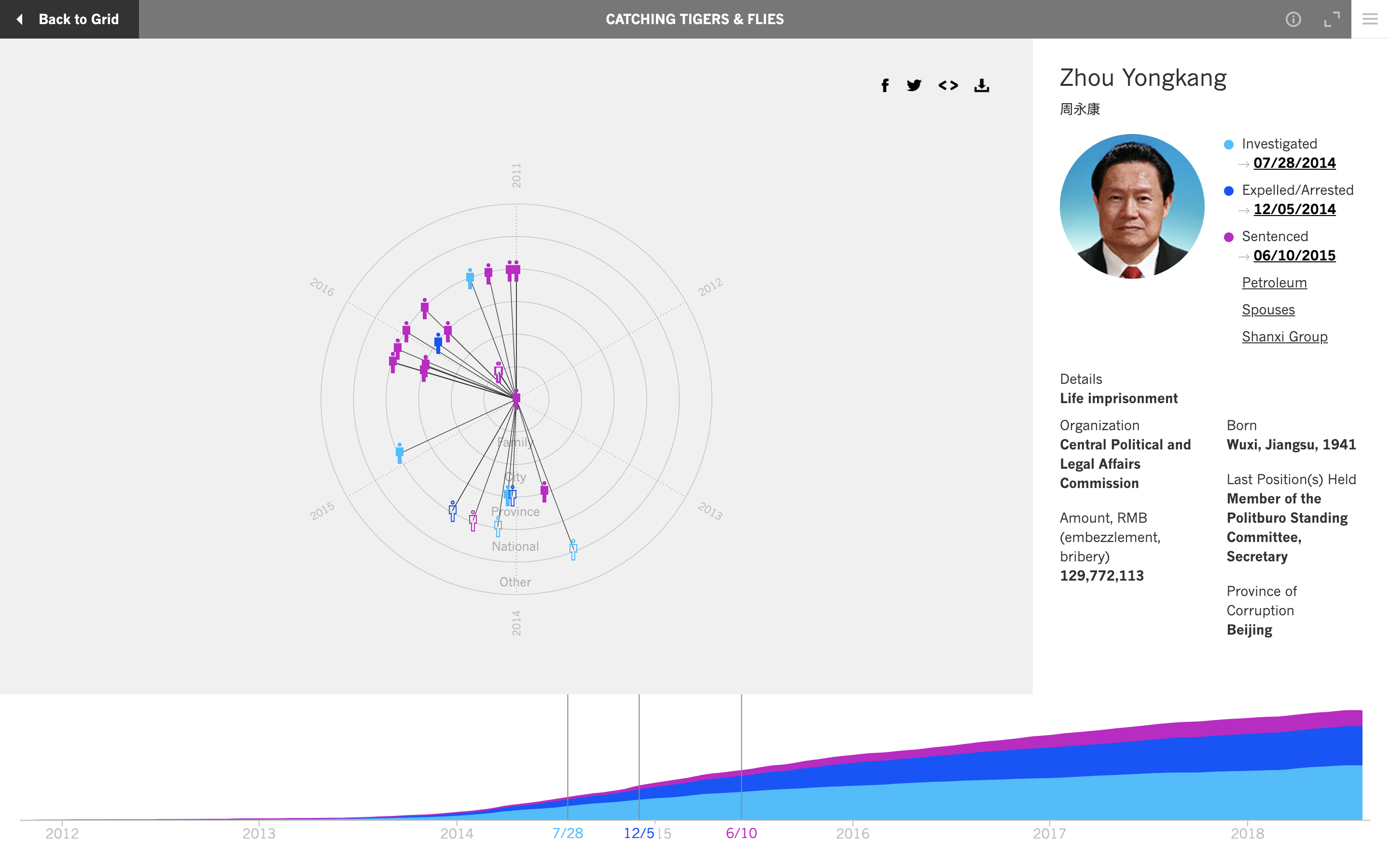 Catching Tigers and Flies Visualization - Image 6