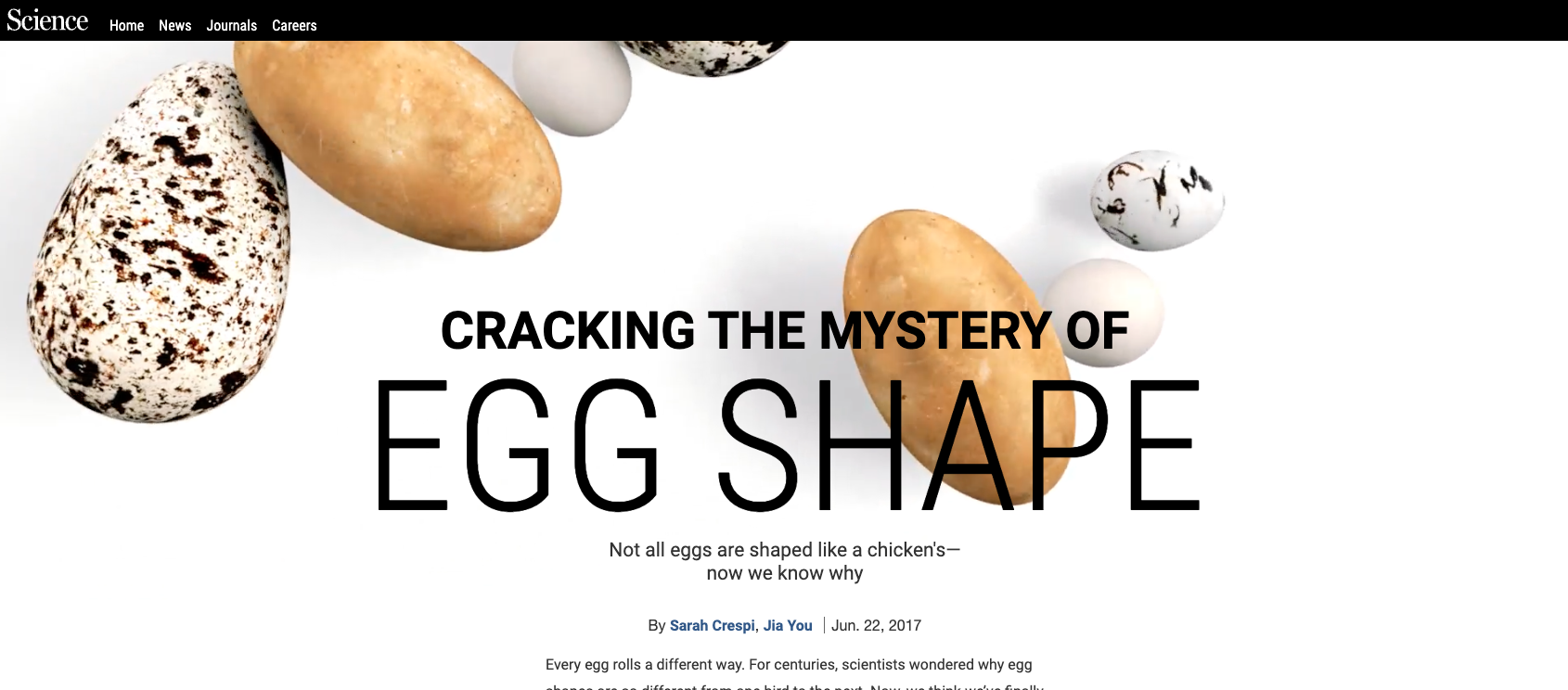 Cracking the Mystery of Egg Shape - Image 3