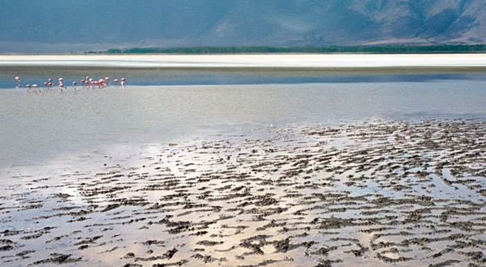 Digital Photographs - Image 2