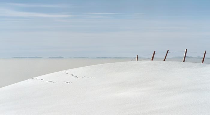 Digital Photographs - Image 4