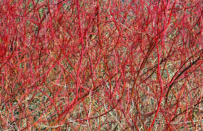 Digital Photographs - Image 5