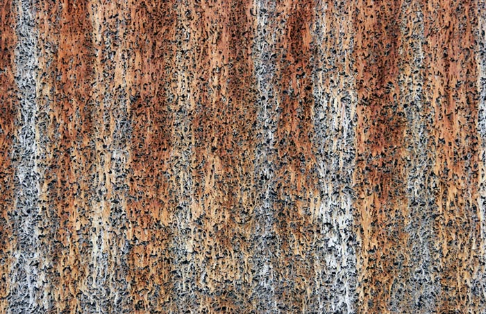 Digital Photographs - Image 8