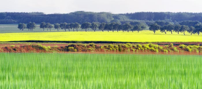 Digital Photographs - Image 9