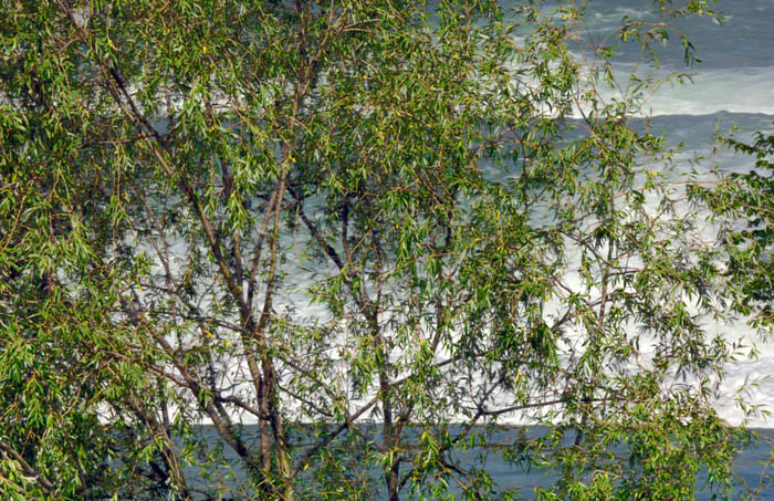 Digital Photographs - Image 10