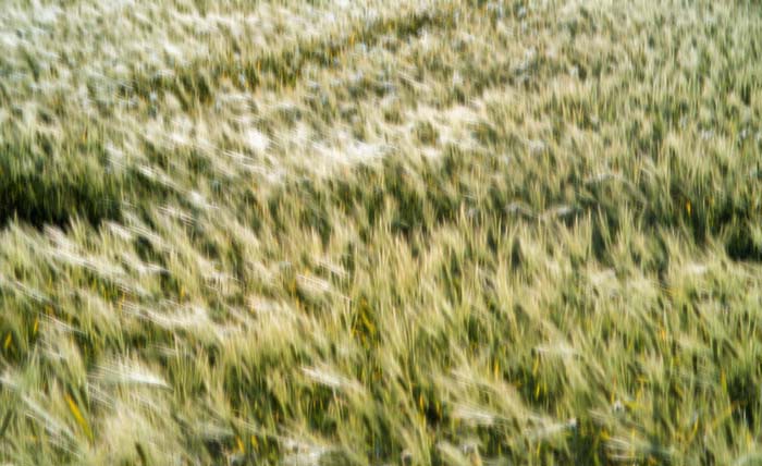 Digital Photographs - Image 13