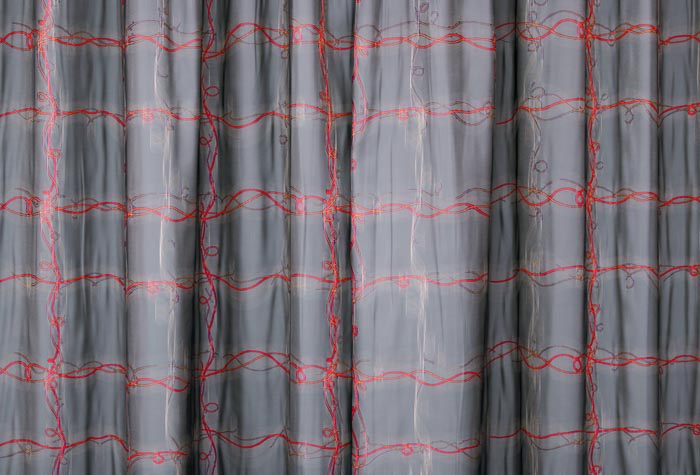 Digital Photographs - Image 14