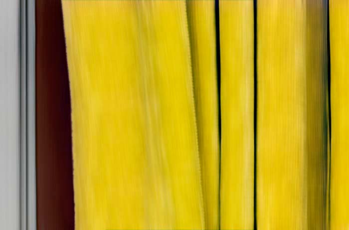 Digital Photographs - Image 15