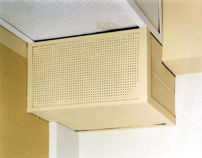 Digital Photographs - Image 16