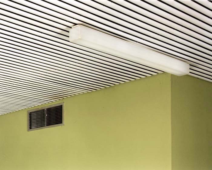 Digital Photographs - Image 17