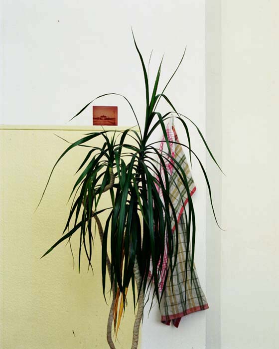 Digital Photographs - Image 26