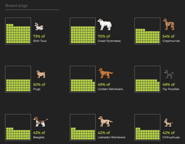 Do You Have a Dream Dog? - Image 2