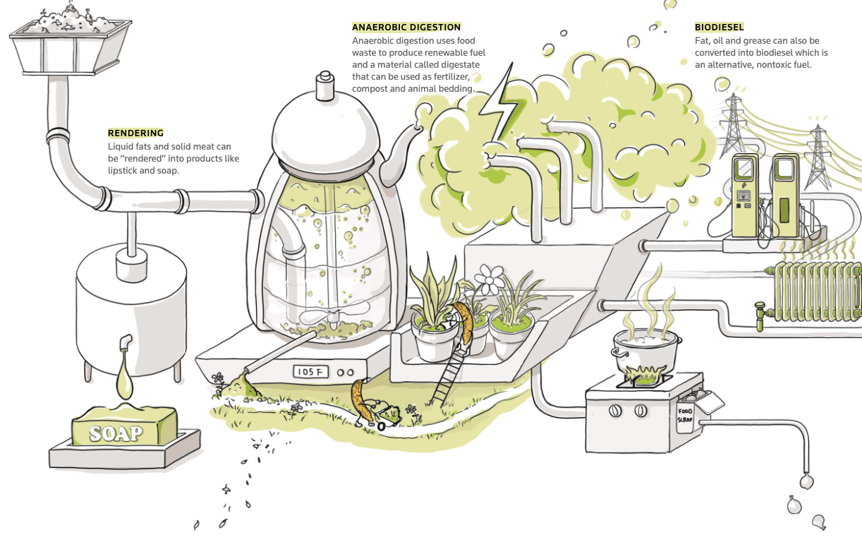 Don’t Waste Food - Image 2