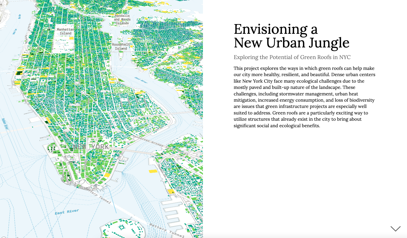 Envisioning a New Urban Jungle