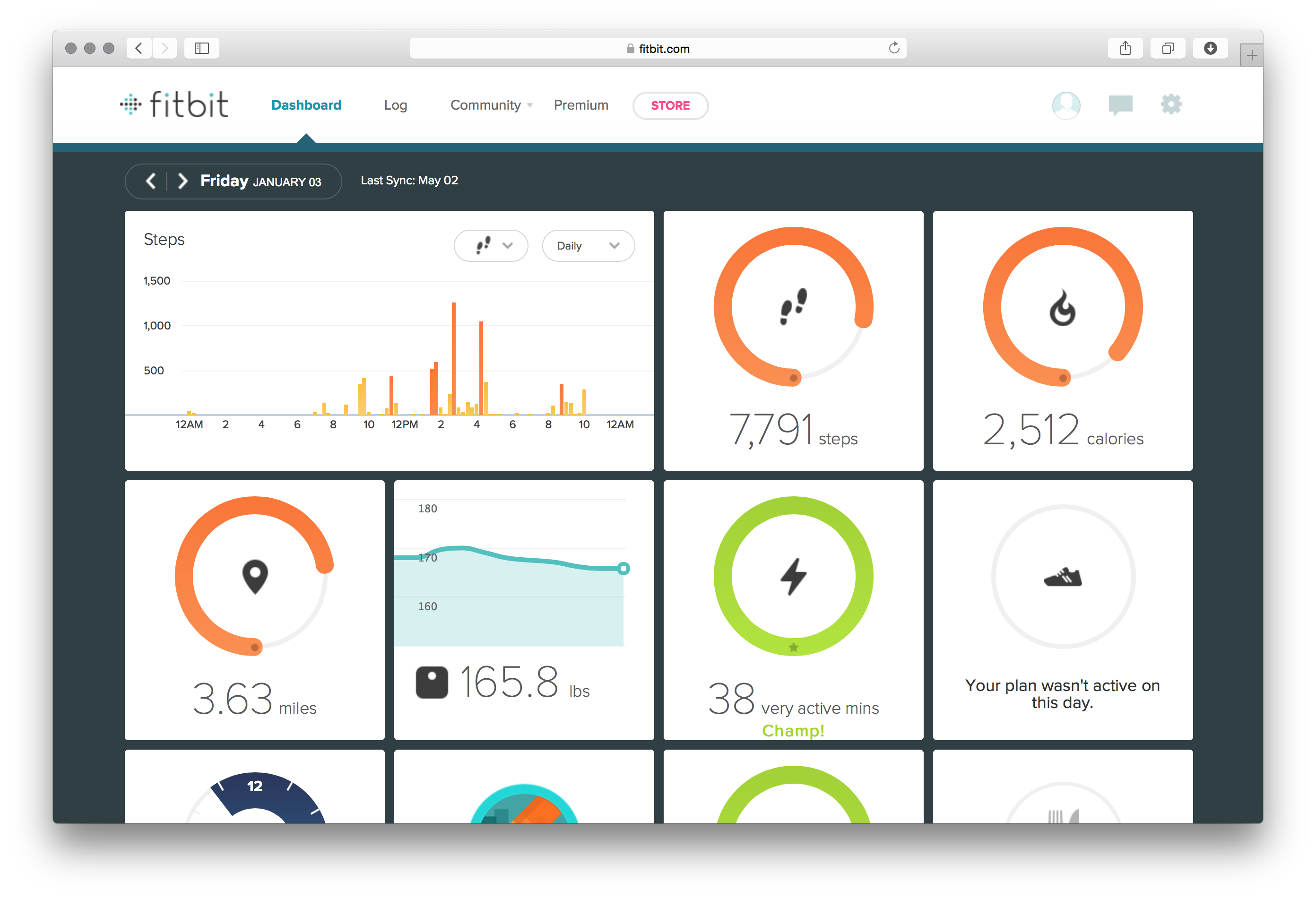 Fitbit Dashboard Visualizations