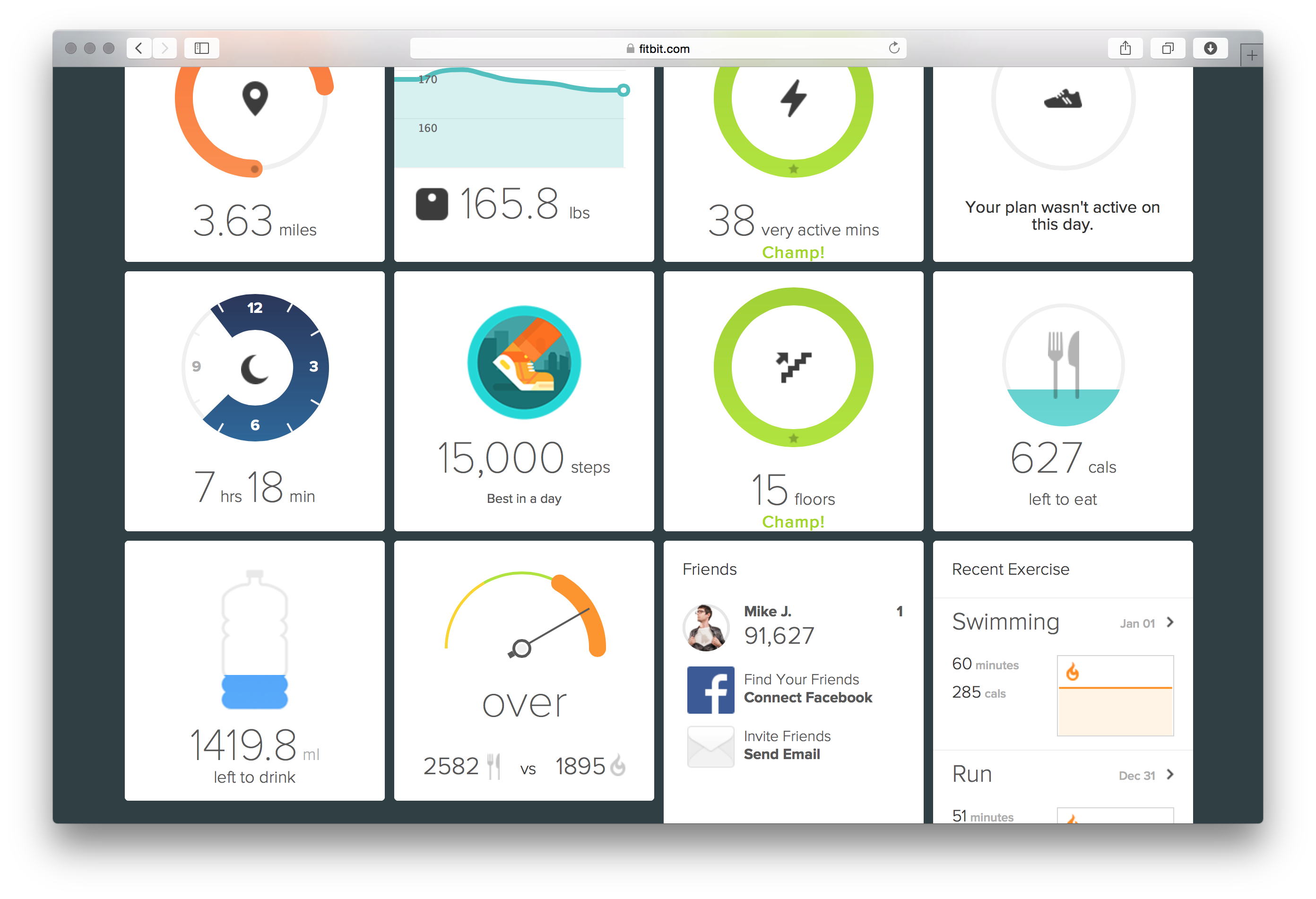 Fitbit Dashboard Visualizations - Image 2