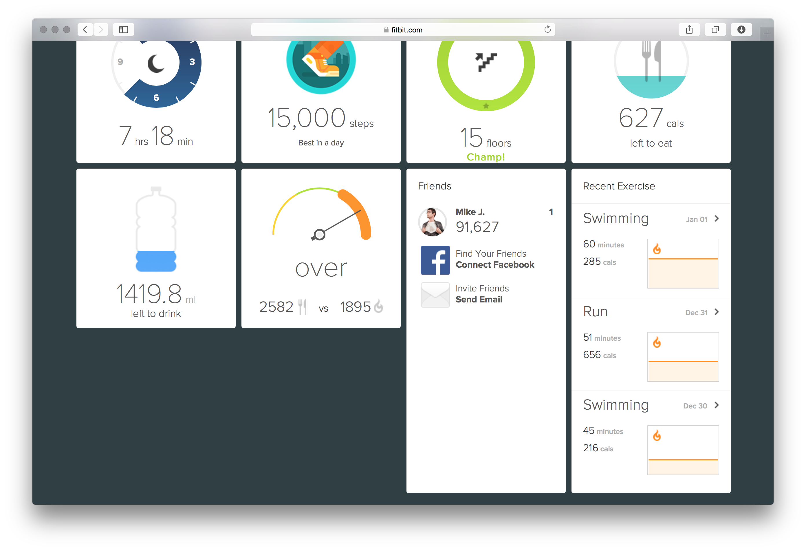 Fitbit Dashboard Visualizations - Image 3