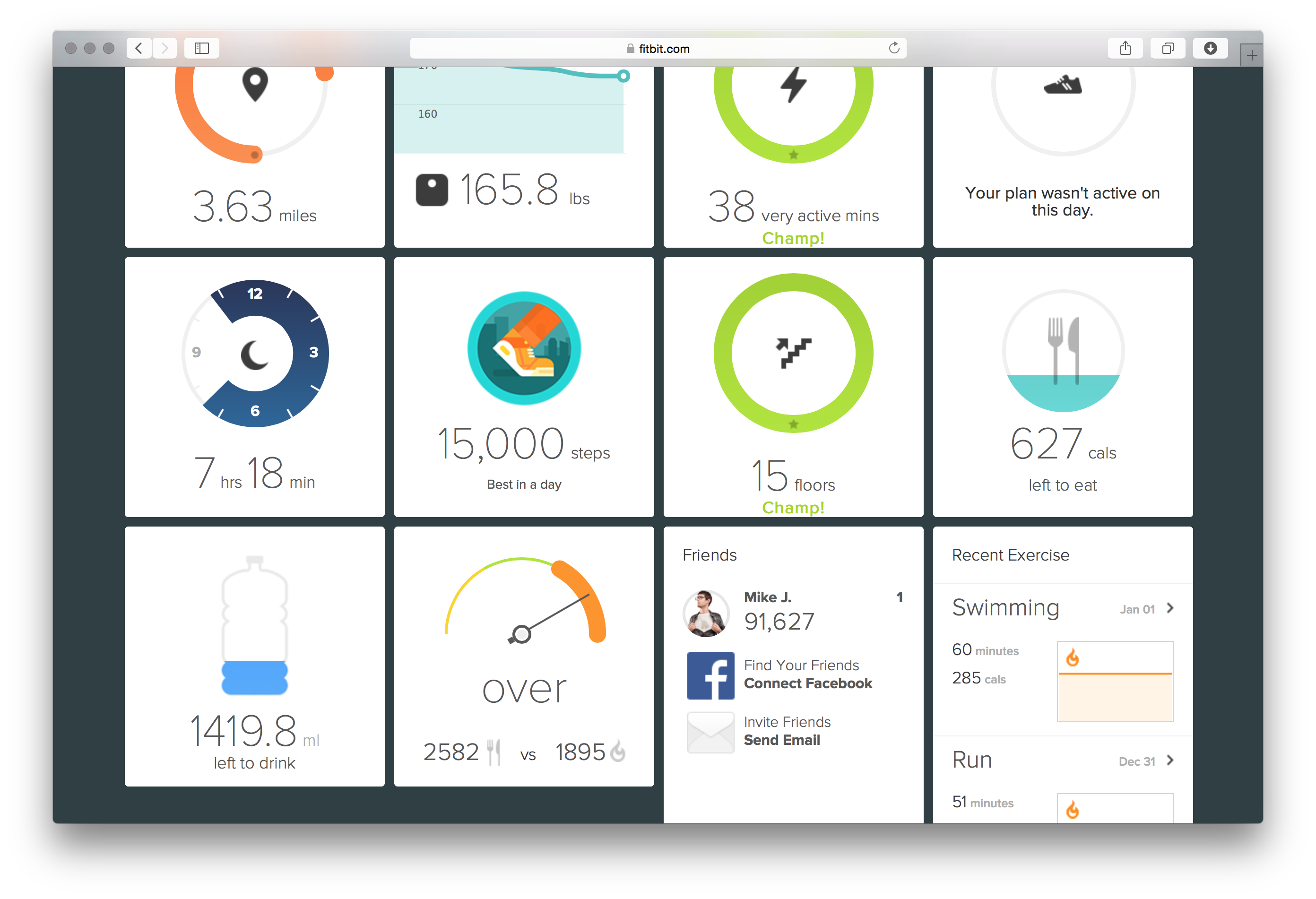 Fitbit Dashboard Visualizations - Image 7