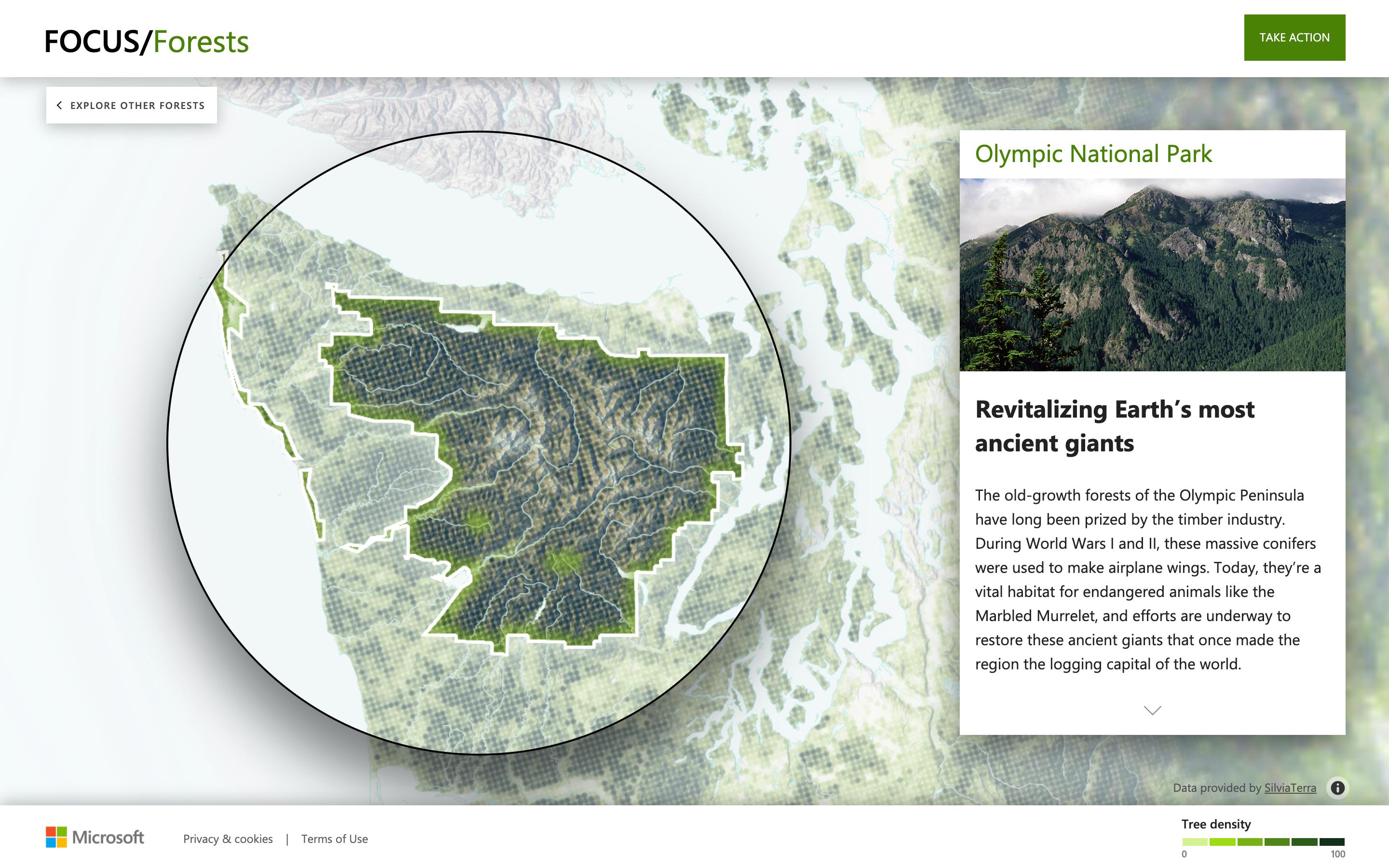 FOCUS/Forests Website - Image 2