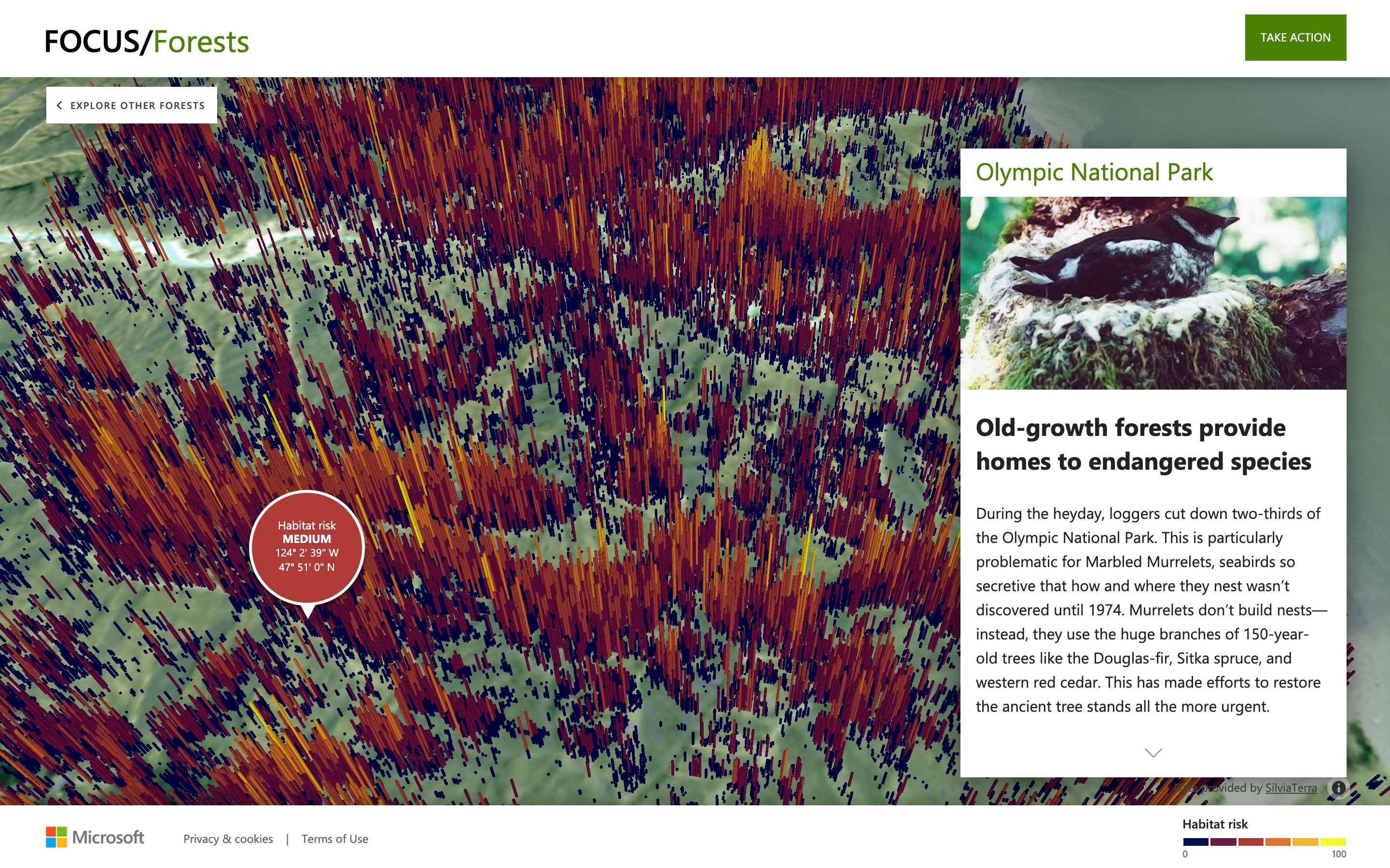 FOCUS/Forests Website - Image 3