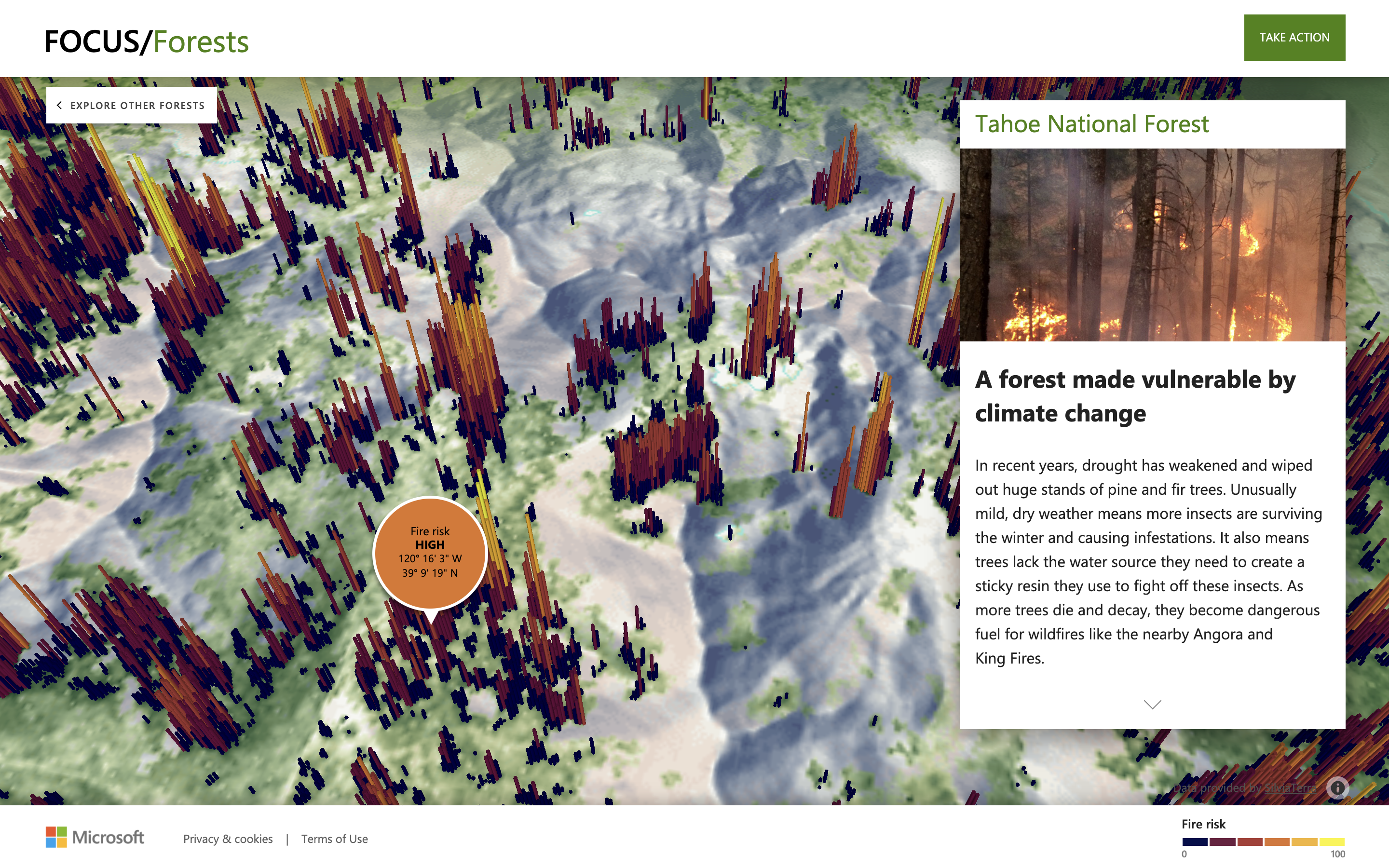 FOCUS/Forests Website - Image 4