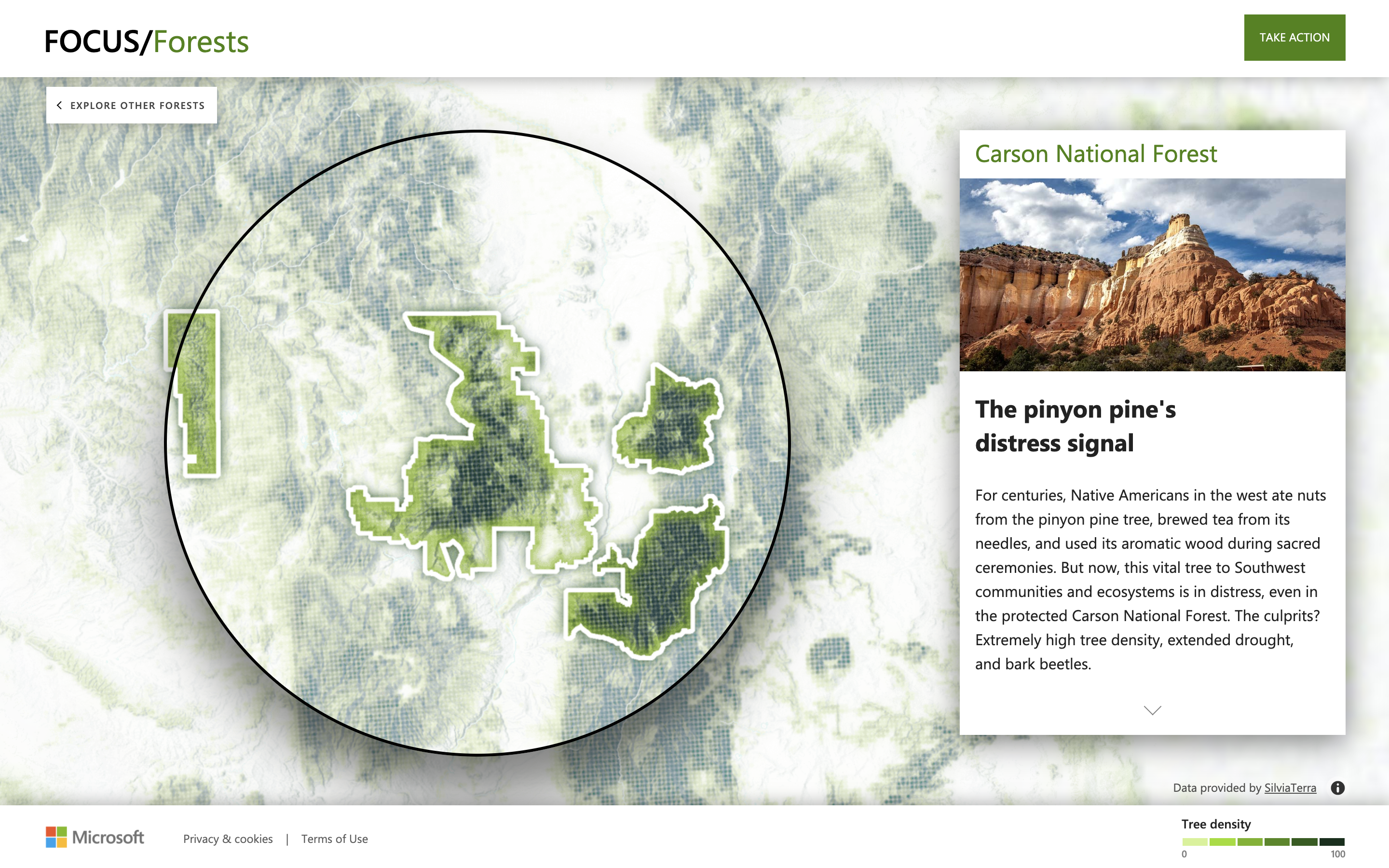 FOCUS/Forests Website - Image 5