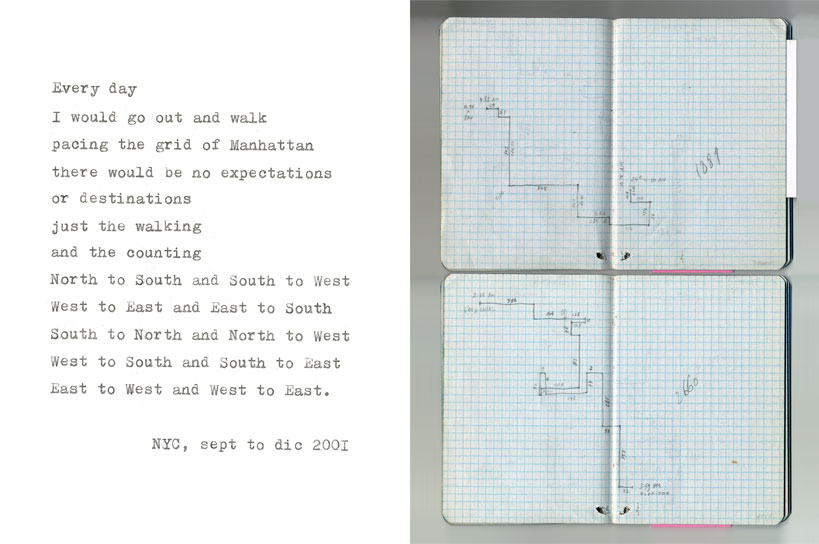 Get Lost Francis Alys - Image 2