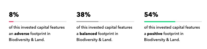 Globance World Footprint - Image 4