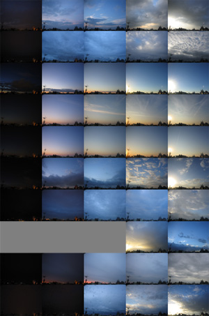 Luna Maurer Projects - Image 4