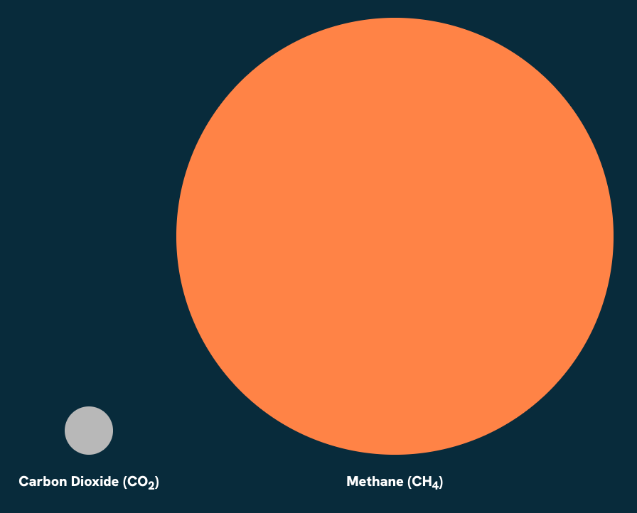 Methane V Coal Microsite - Image 17