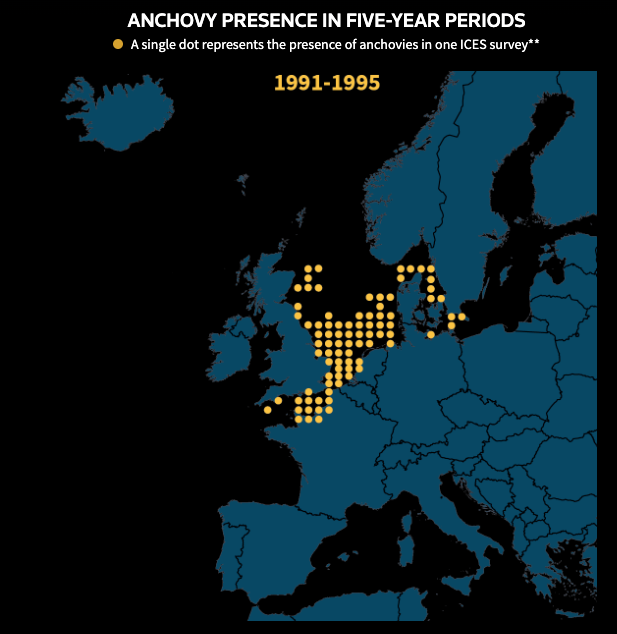 Navigating Brexit Waters - Image 9