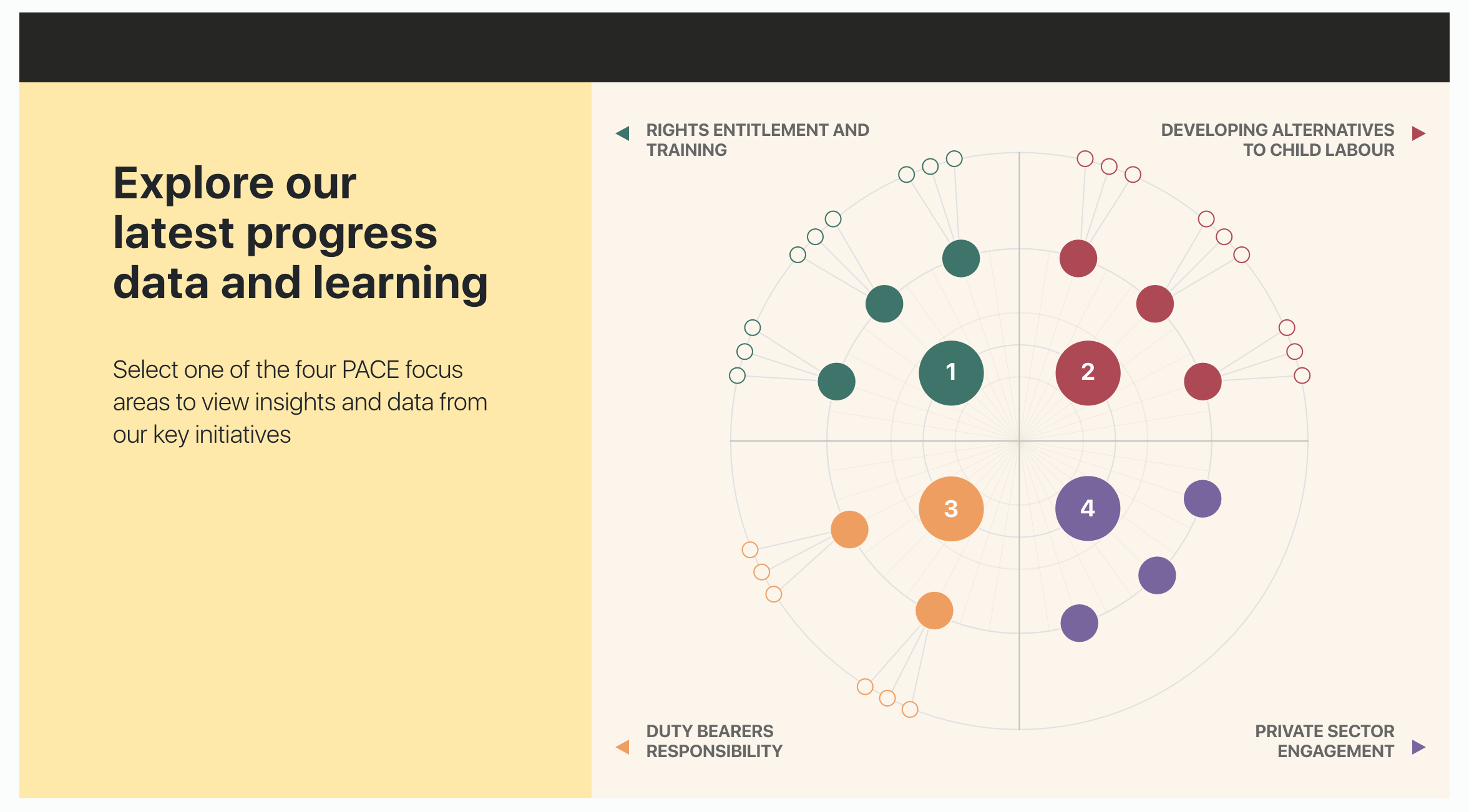 Pace Consortium - Image 5