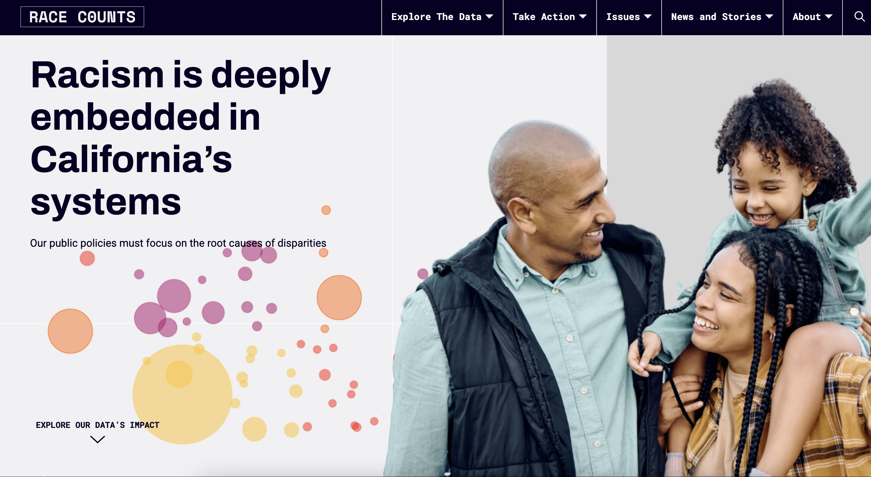 Race Counts - Image 4