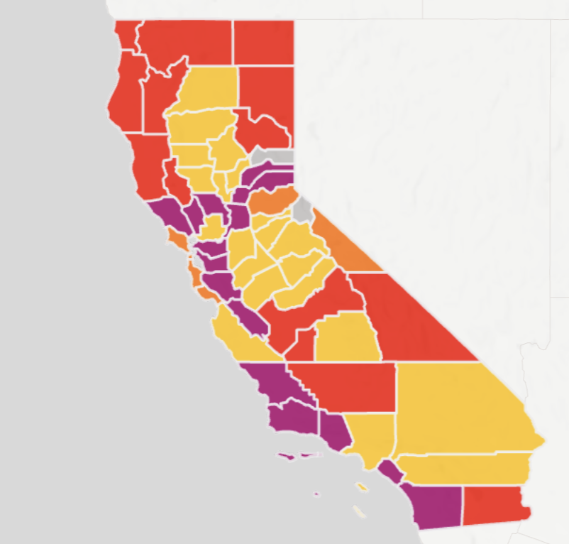 Race Counts - Image 5