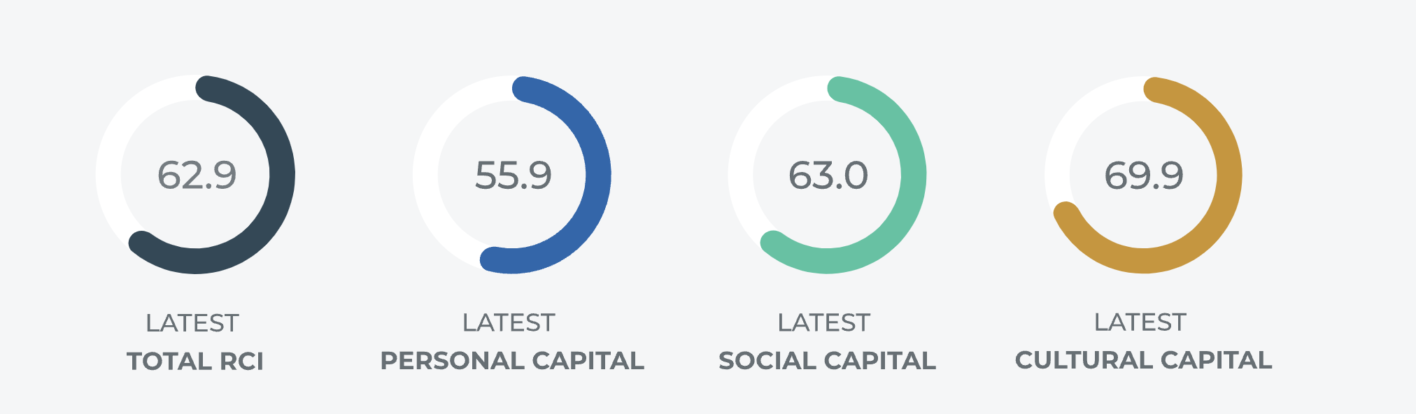 Recovery Capital Index