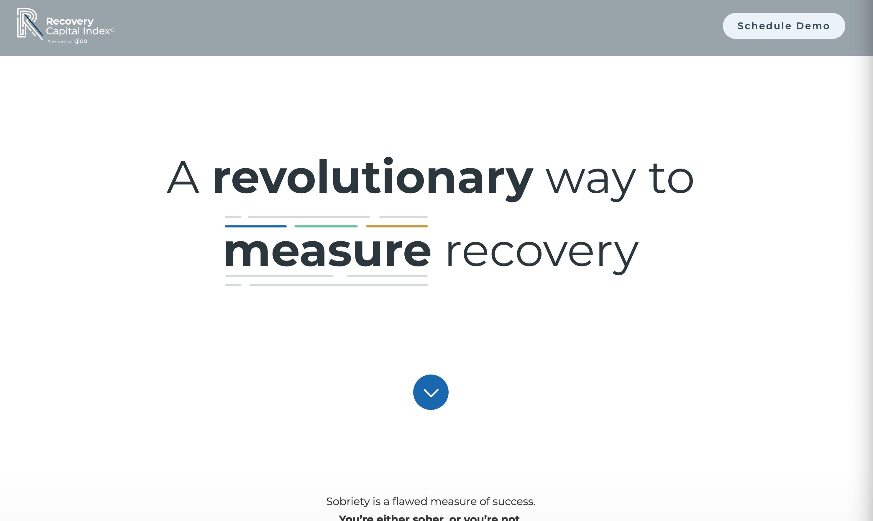 Recovery Capital Index - Image 4