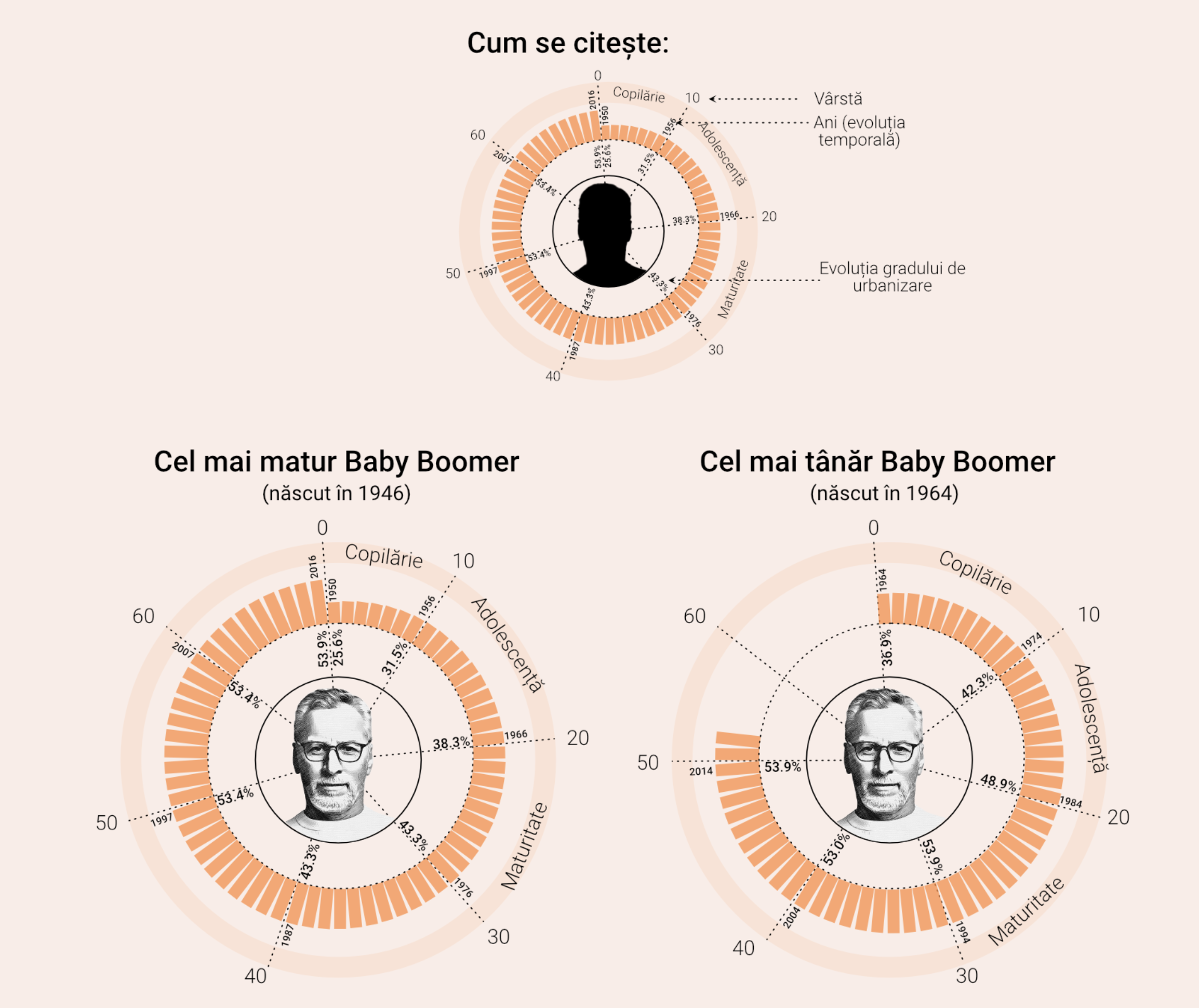 Romania for Generations - Image 4