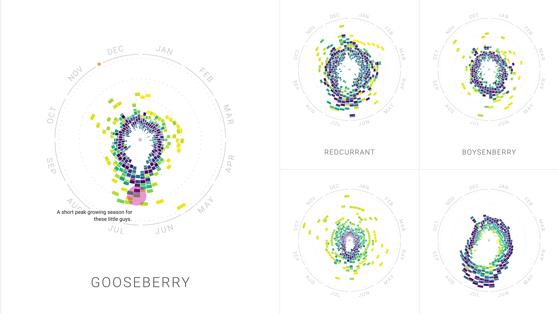 Rythm of Food - Image 2