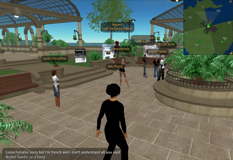 Second Life Map - Image 2