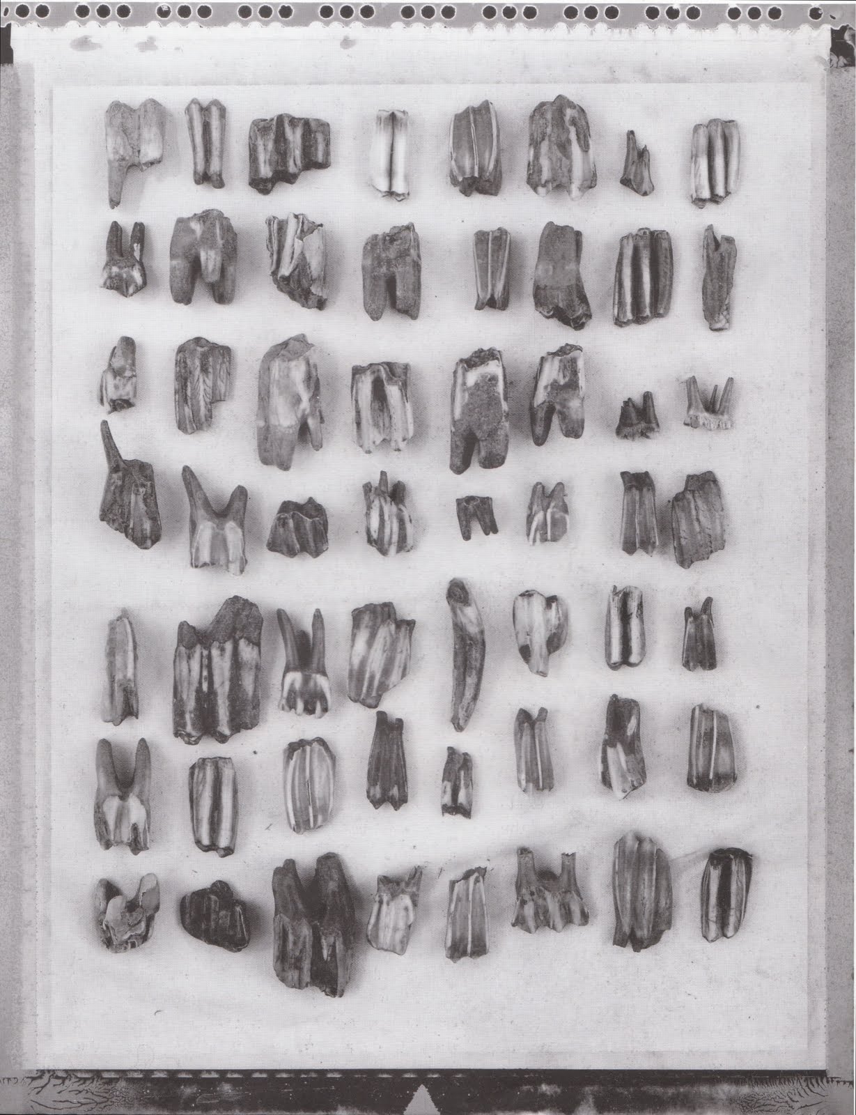 Tate Thames Dig - Image 3