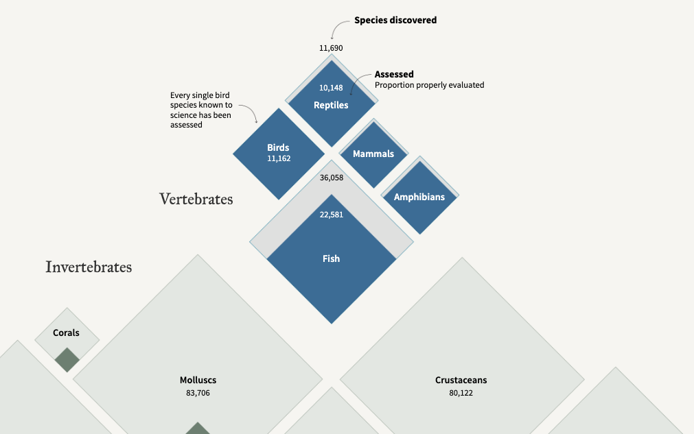 The Collapse of Insects