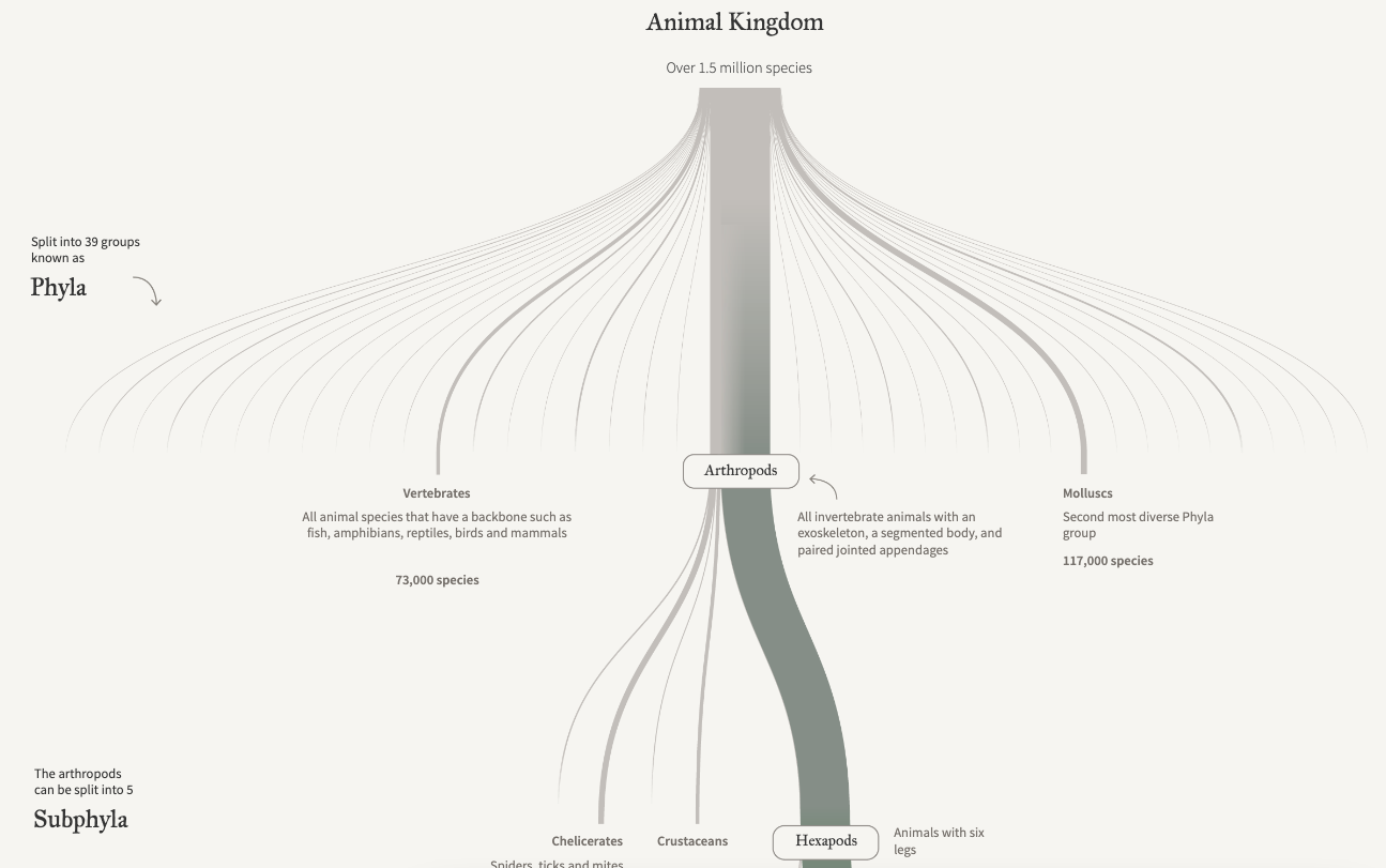 The Collapse of Insects - Image 2