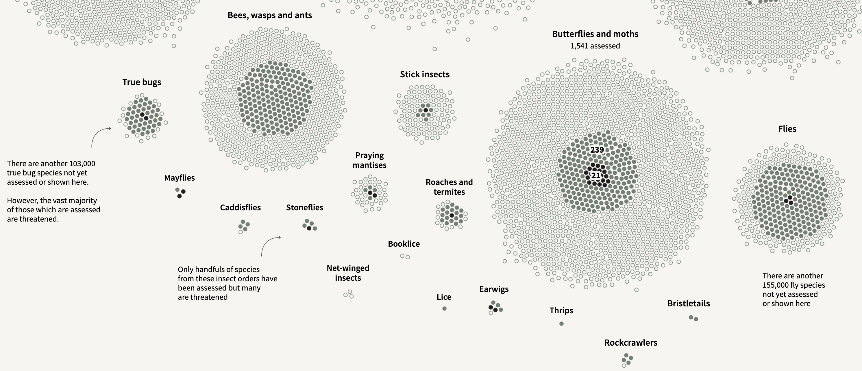 The Collapse of Insects - Image 4