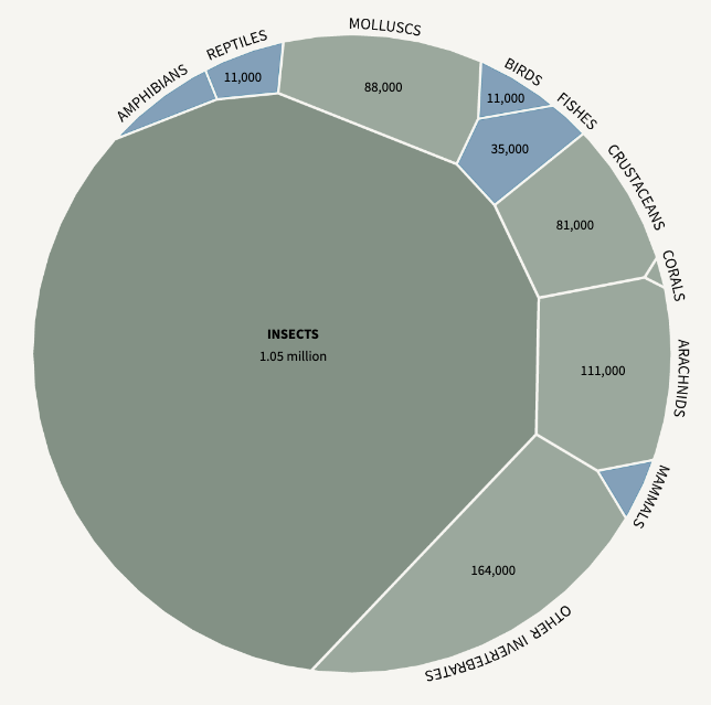 The Collapse of Insects - Image 5